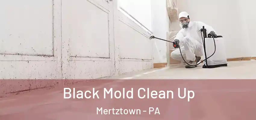 Black Mold Clean Up Mertztown - PA