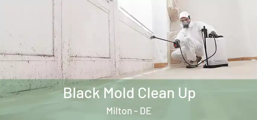 Black Mold Clean Up Milton - DE