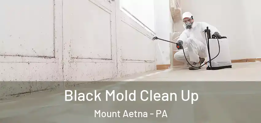 Black Mold Clean Up Mount Aetna - PA