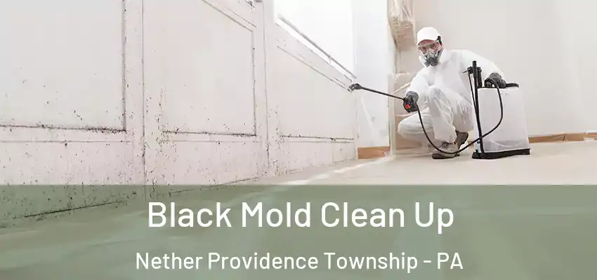 Black Mold Clean Up Nether Providence Township - PA