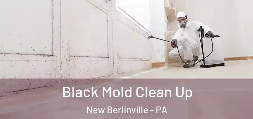 Black Mold Clean Up New Berlinville - PA