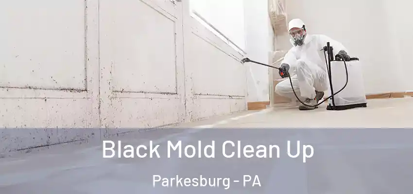 Black Mold Clean Up Parkesburg - PA