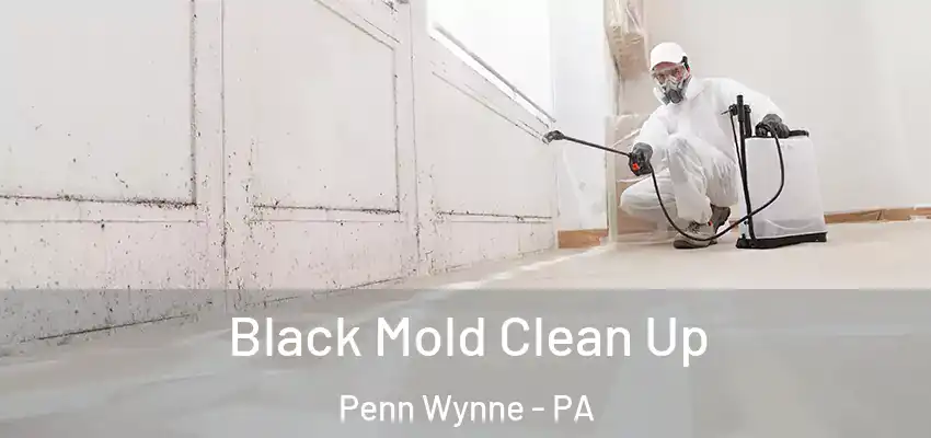 Black Mold Clean Up Penn Wynne - PA