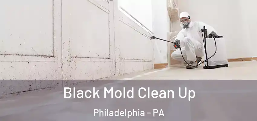  Black Mold Clean Up Philadelphia - PA