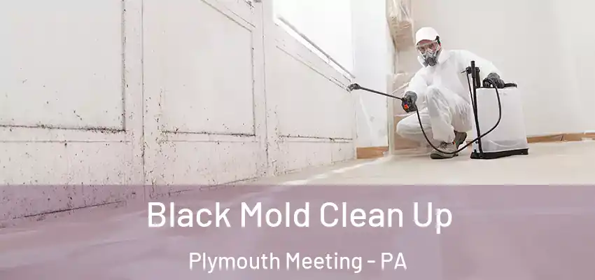 Black Mold Clean Up Plymouth Meeting - PA