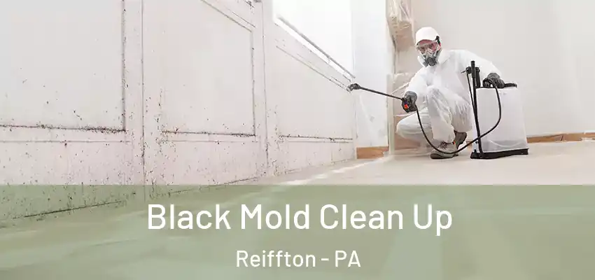  Black Mold Clean Up Reiffton - PA