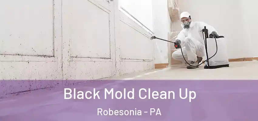  Black Mold Clean Up Robesonia - PA
