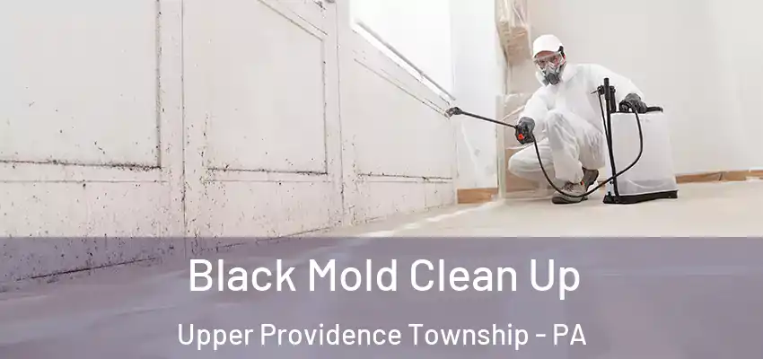 Black Mold Clean Up Upper Providence Township - PA