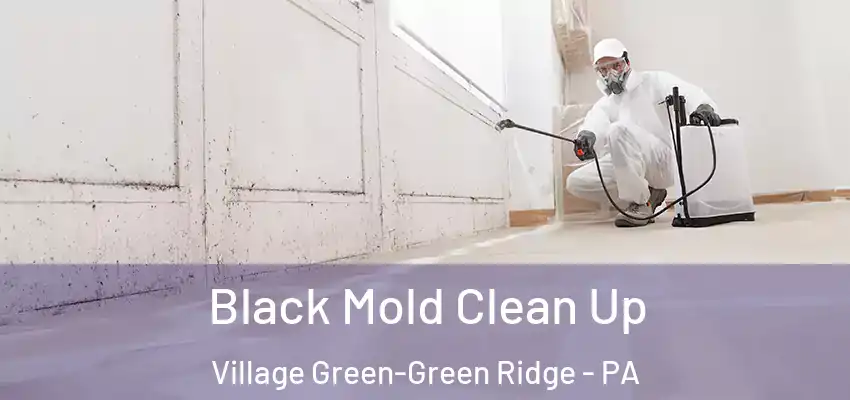Black Mold Clean Up Village Green-Green Ridge - PA