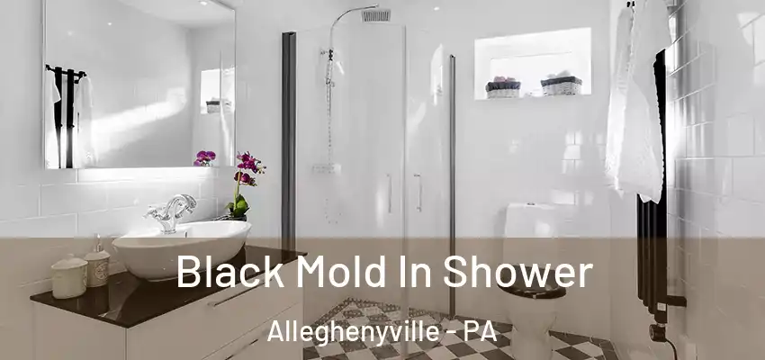  Black Mold In Shower Alleghenyville - PA