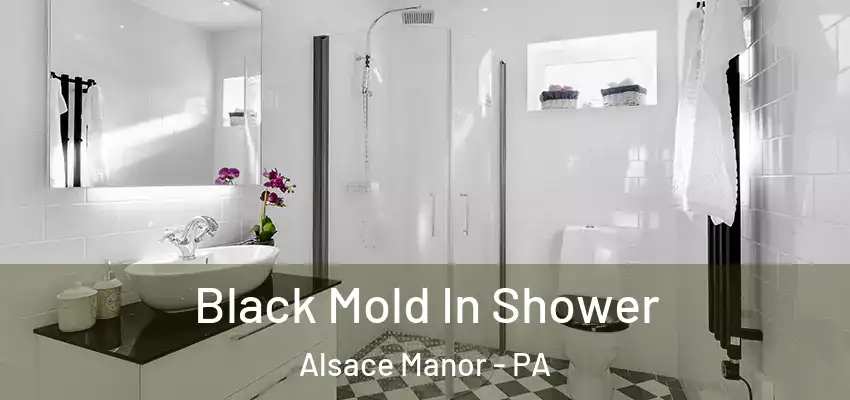 Black Mold In Shower Alsace Manor - PA