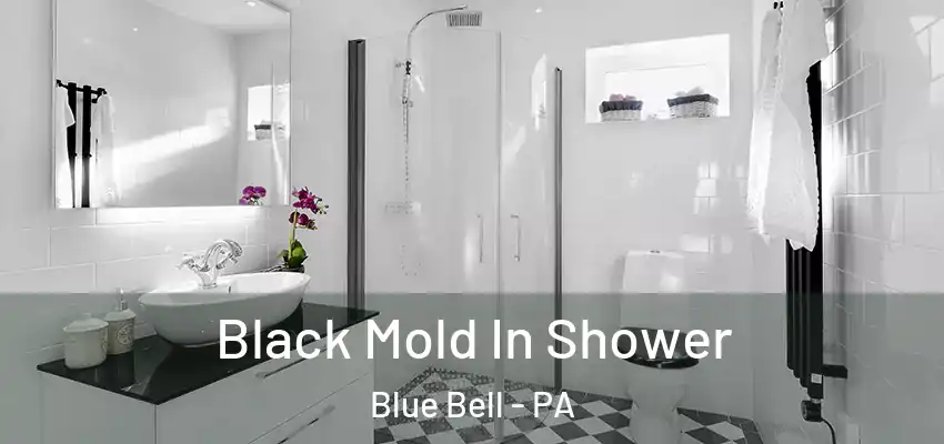 Black Mold In Shower Blue Bell - PA