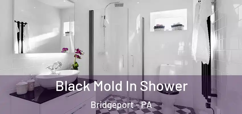  Black Mold In Shower Bridgeport - PA