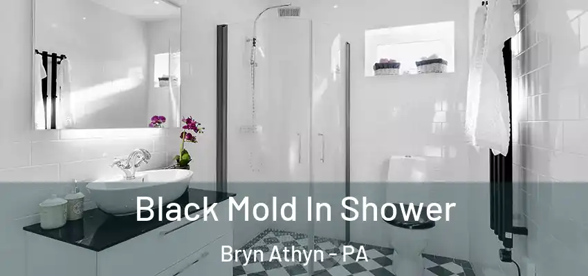 Black Mold In Shower Bryn Athyn - PA