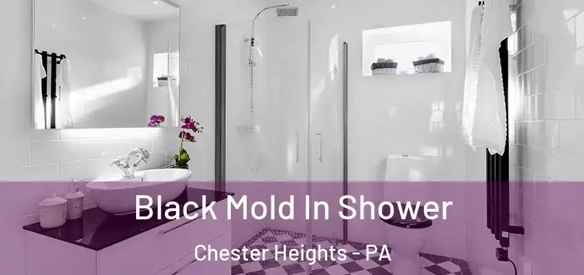 Black Mold In Shower Chester Heights - PA