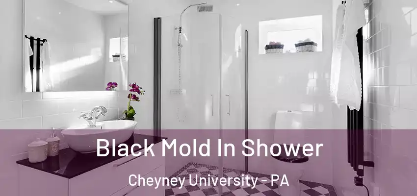  Black Mold In Shower Cheyney University - PA