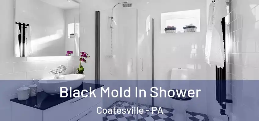 Black Mold In Shower Coatesville - PA