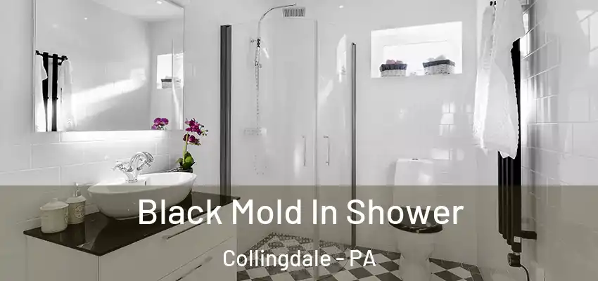 Black Mold In Shower Collingdale - PA