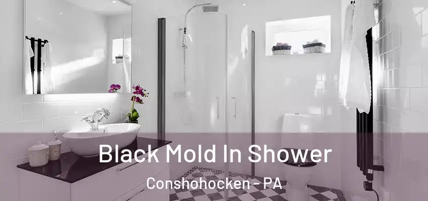 Black Mold In Shower Conshohocken - PA
