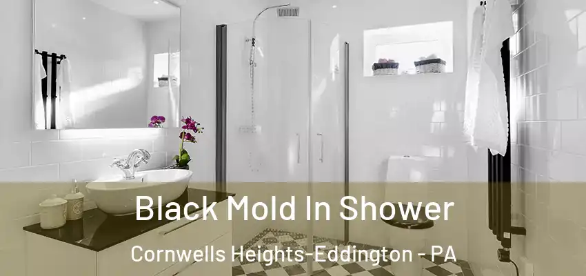  Black Mold In Shower Cornwells Heights-Eddington - PA