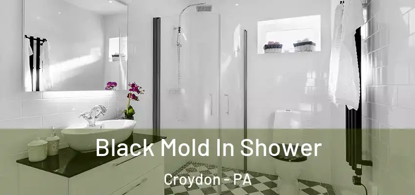 Black Mold In Shower Croydon - PA