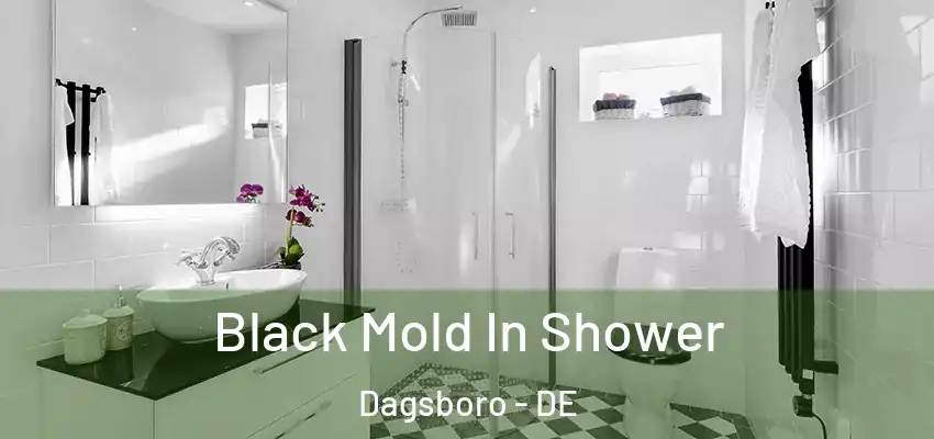 Black Mold In Shower Dagsboro - DE