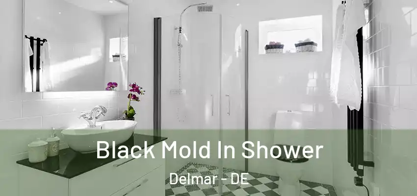 Black Mold In Shower Delmar - DE