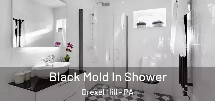 Black Mold In Shower Drexel Hill - PA