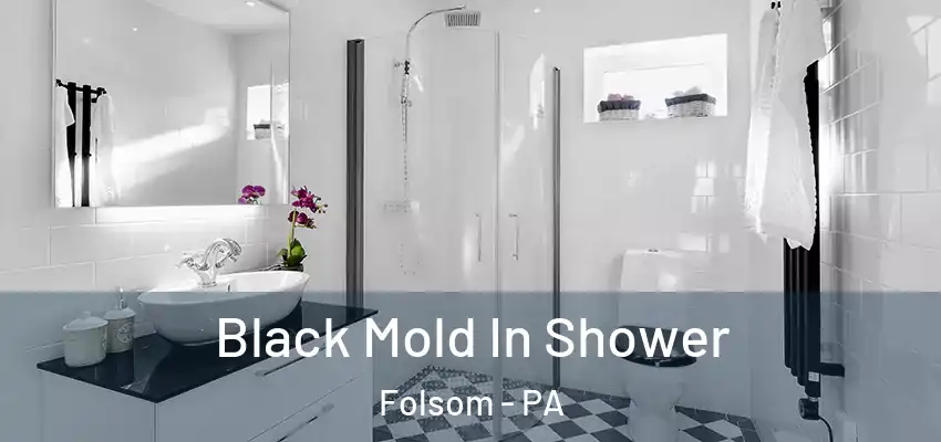  Black Mold In Shower Folsom - PA