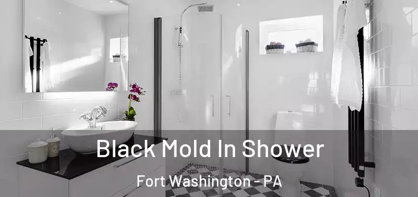 Black Mold In Shower Fort Washington - PA