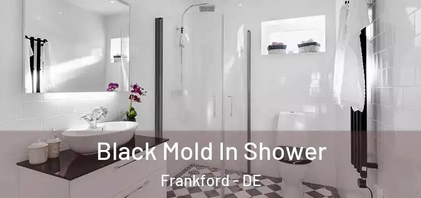  Black Mold In Shower Frankford - DE