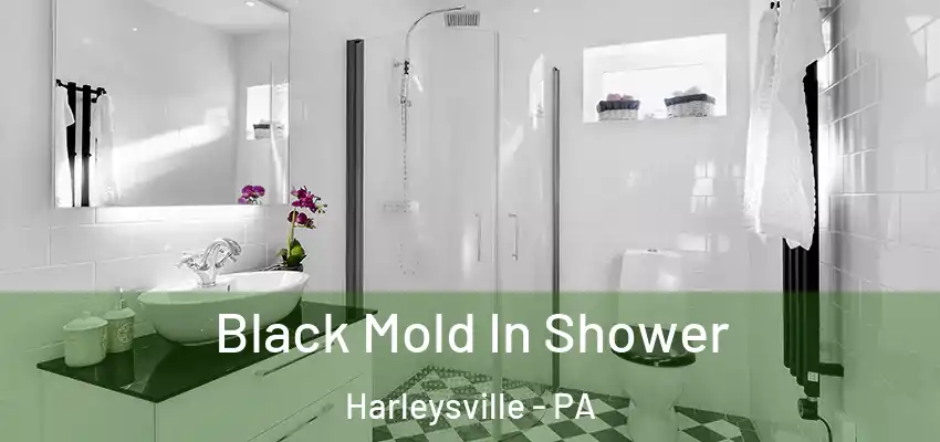 Black Mold In Shower Harleysville - PA
