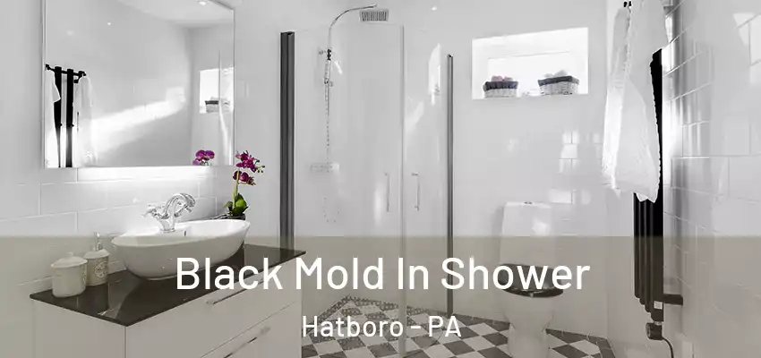  Black Mold In Shower Hatboro - PA