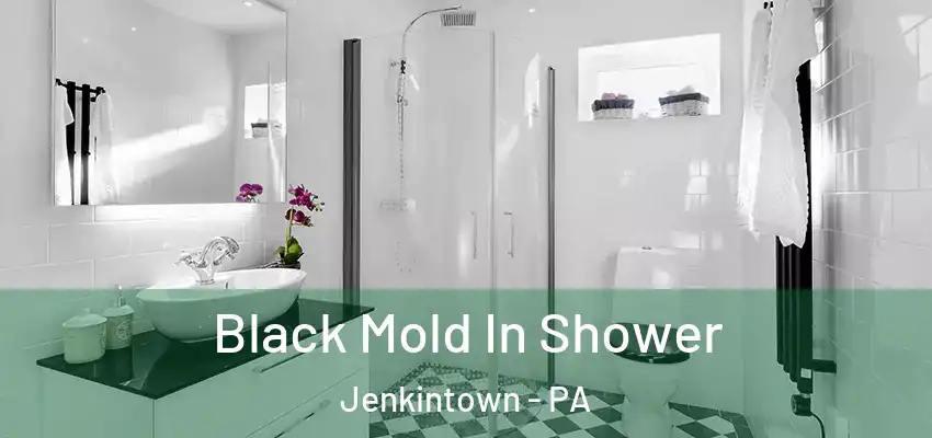 Black Mold In Shower Jenkintown - PA