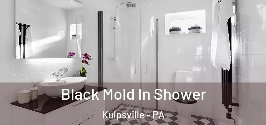 Black Mold In Shower Kulpsville - PA