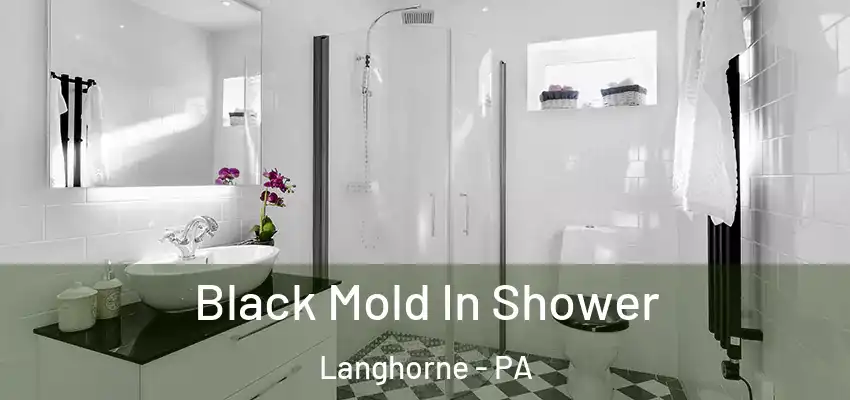 Black Mold In Shower Langhorne - PA
