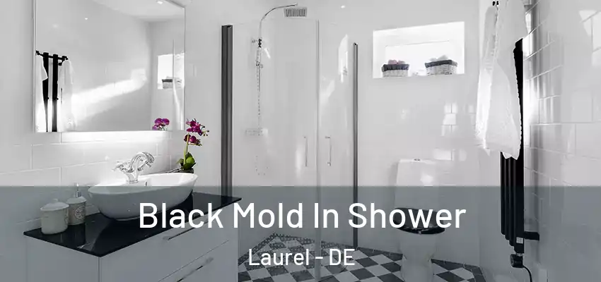 Black Mold In Shower Laurel - DE
