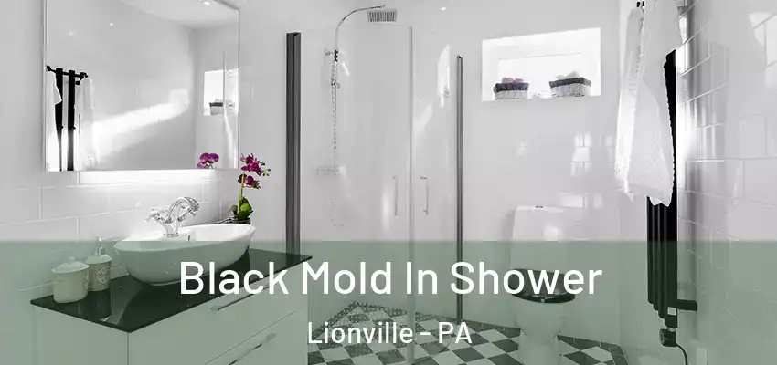 Black Mold In Shower Lionville - PA