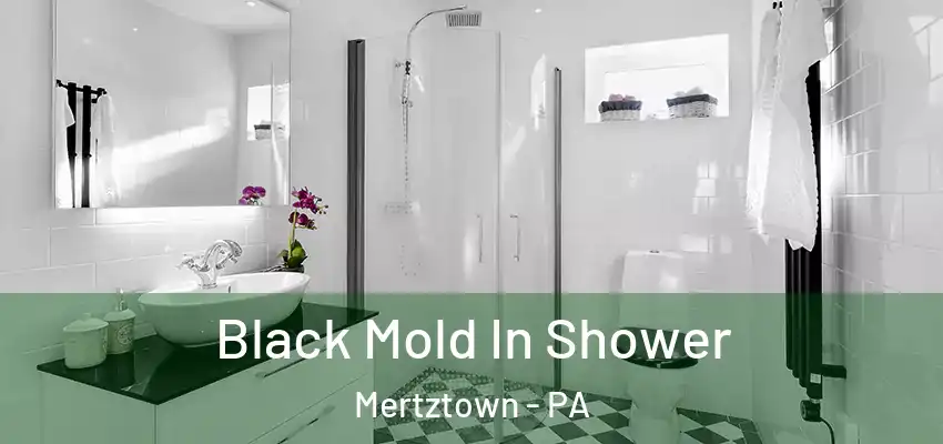 Black Mold In Shower Mertztown - PA