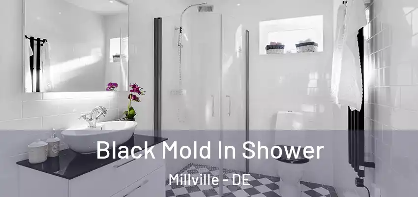  Black Mold In Shower Millville - DE