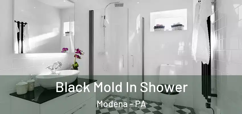 Black Mold In Shower Modena - PA