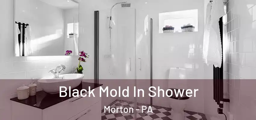 Black Mold In Shower Morton - PA