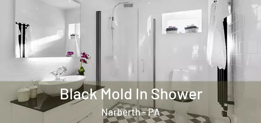 Black Mold In Shower Narberth - PA