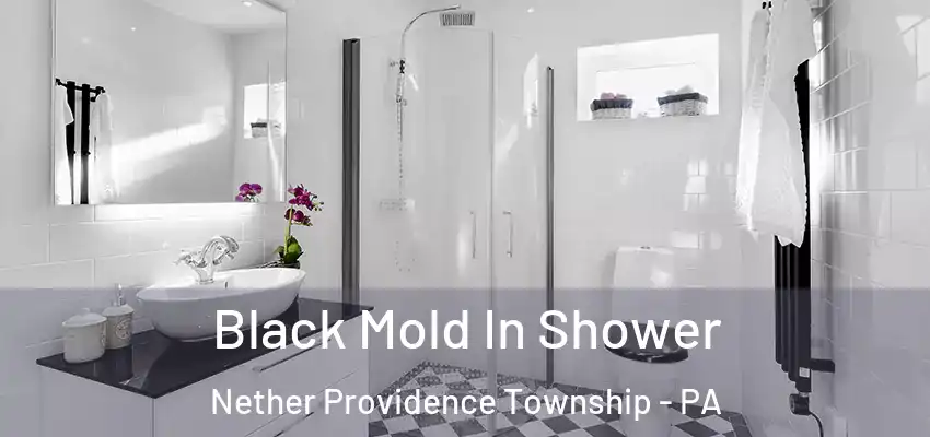  Black Mold In Shower Nether Providence Township - PA