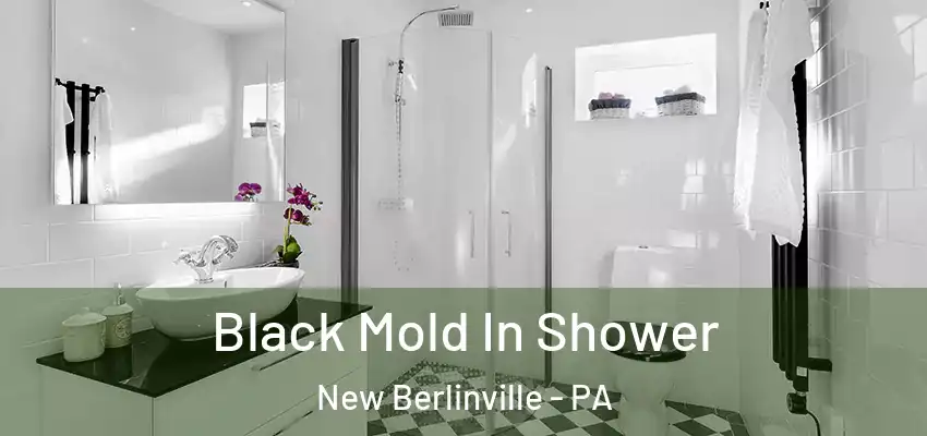 Black Mold In Shower New Berlinville - PA