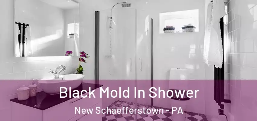 Black Mold In Shower New Schaefferstown - PA