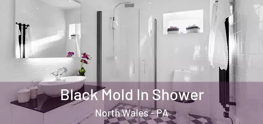 Black Mold In Shower North Wales - PA