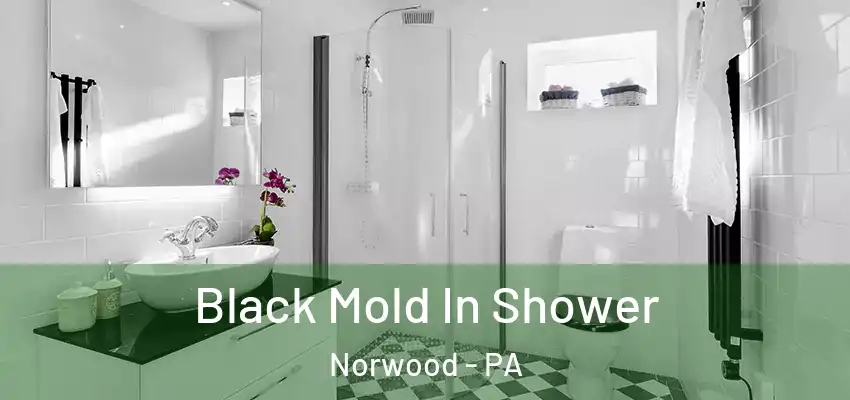 Black Mold In Shower Norwood - PA