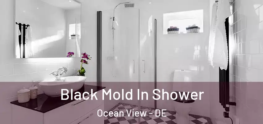  Black Mold In Shower Ocean View - DE