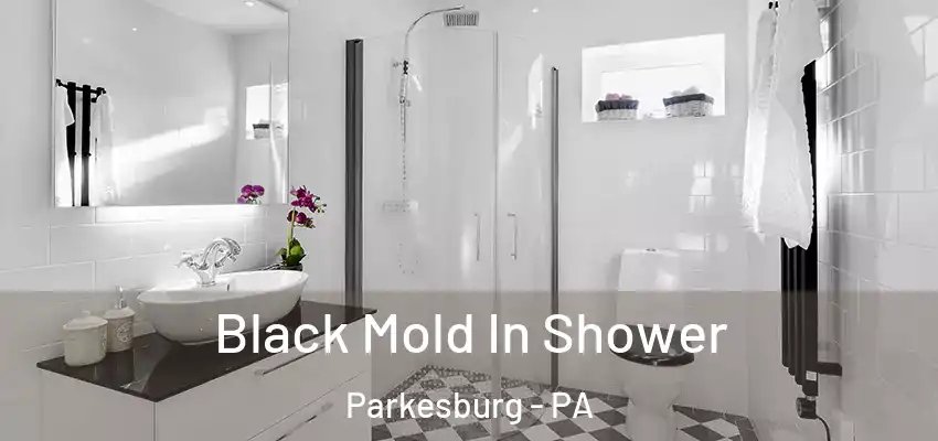 Black Mold In Shower Parkesburg - PA